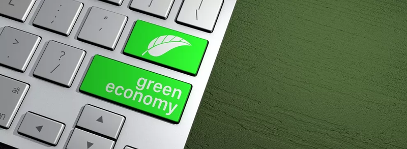 Formation Verte &amp; durable(Ecole Green)