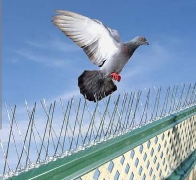 خدمه مكافحه طارد حمام/تركيب طارد حمام  image