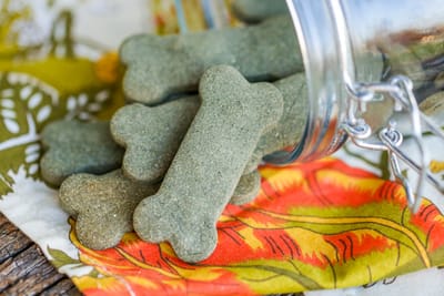 Important Things to Note about Dog Treats