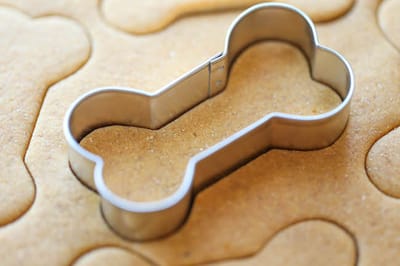 A Quick Guide to Dog Treats