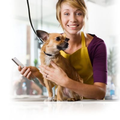 The Benefits of Giving the Best Pet Care