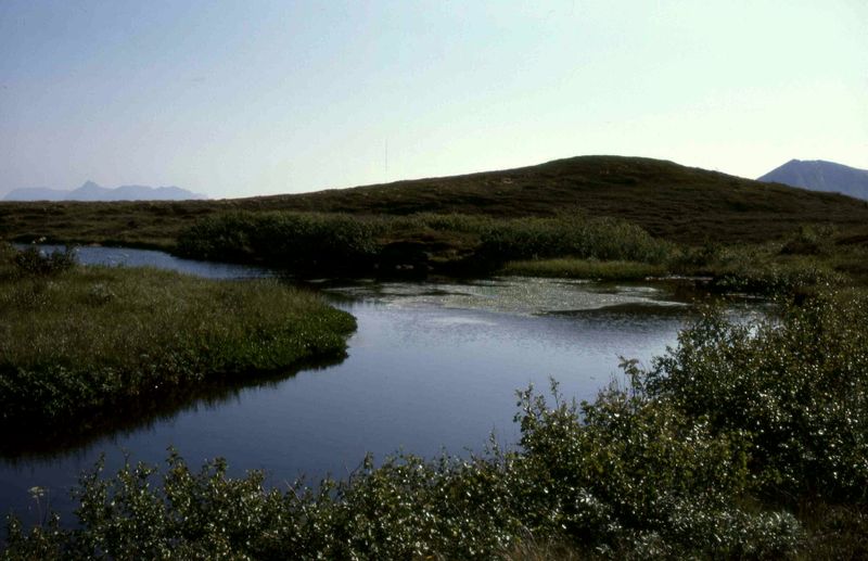 Såhølet i Skogvollelva, Dverberg s.