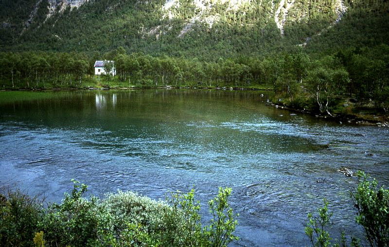 Neshøla i Ballangen s.