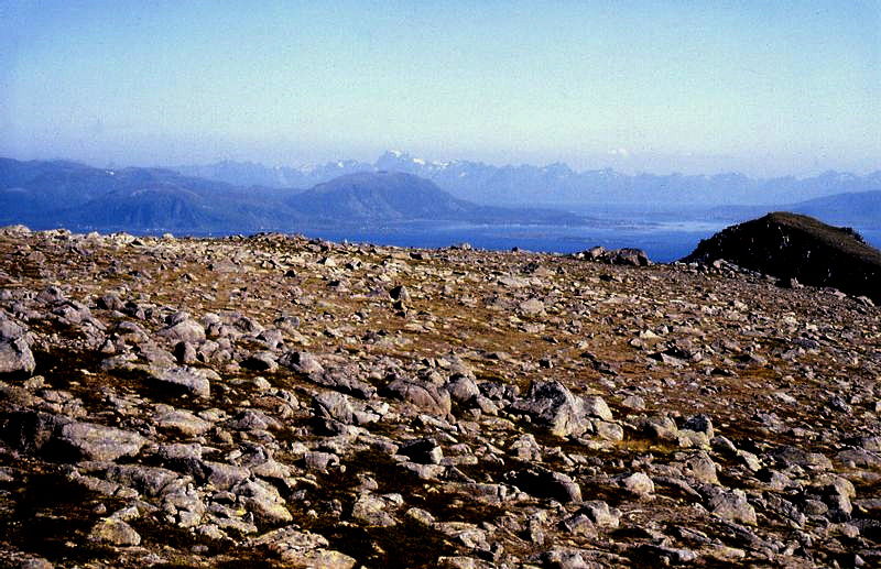 Spikarheia i Bø s.