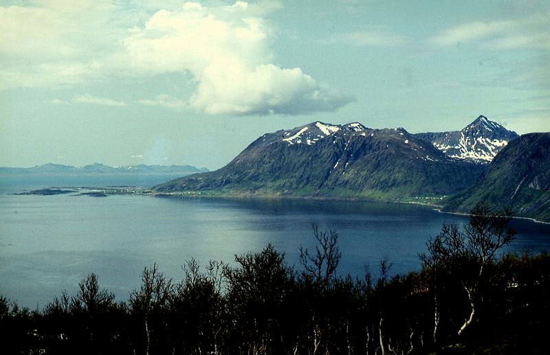 Grøtavær, Alvestad og Dale. Trondenes s.