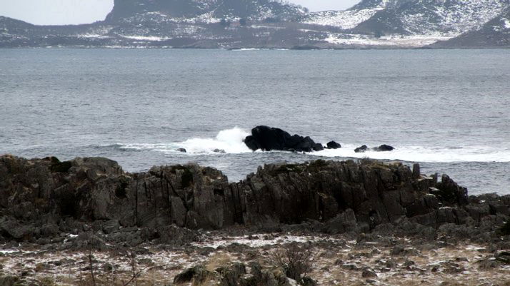 Furen, Finnsætar, Hadseløya. Foto Inge E. Johansen