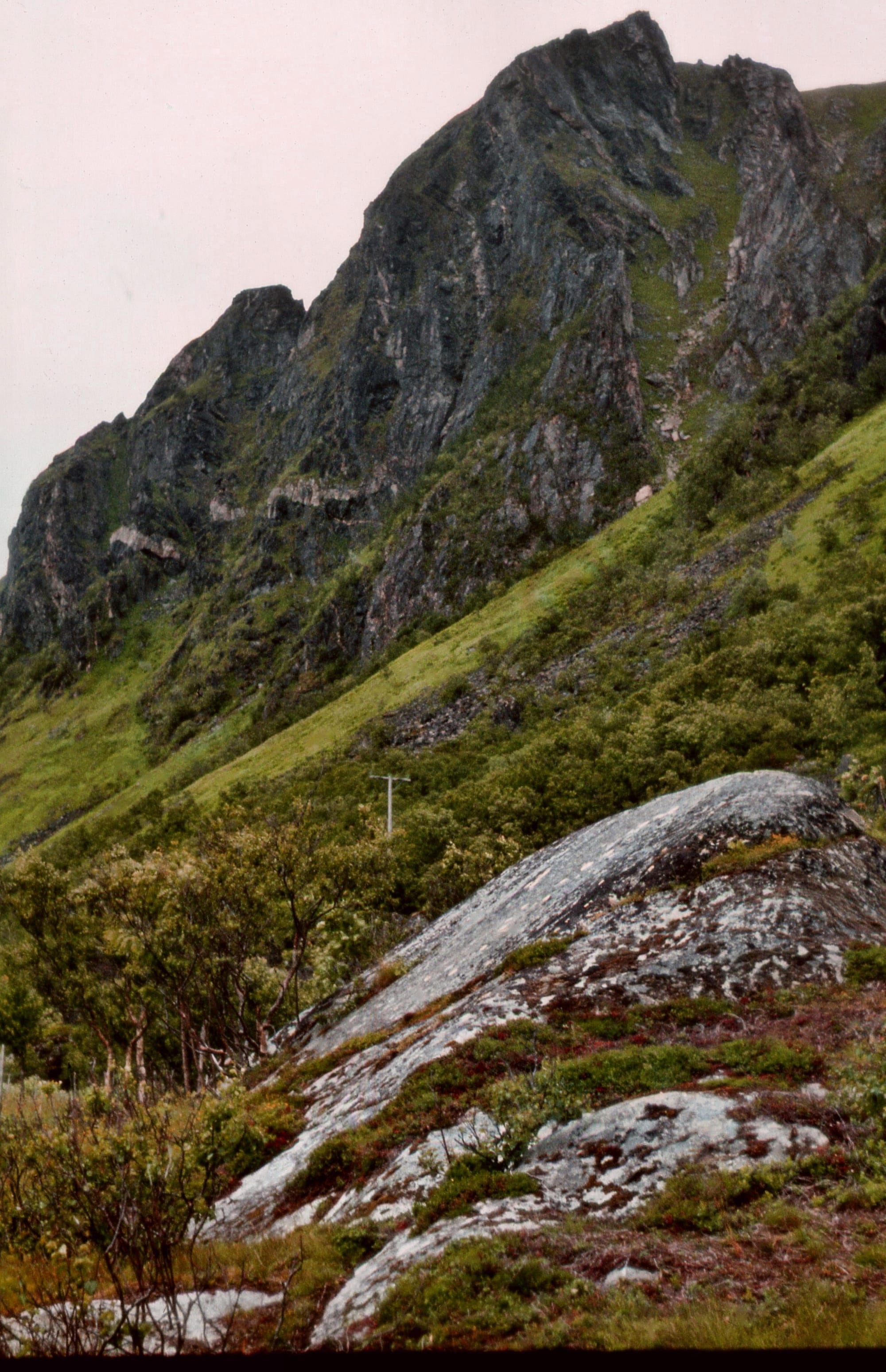 Bukserenna på Bøstranda, Bjørnskinn s.