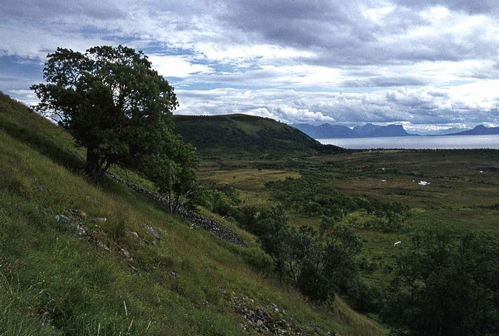 Liland nær Dungen på Åse. Dvereberg s.