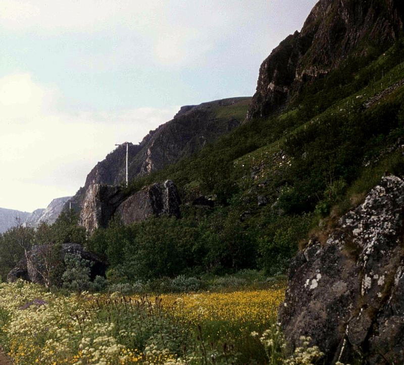 Røllia og Røllisteinen nordom Bø, Bjørnskinn s.