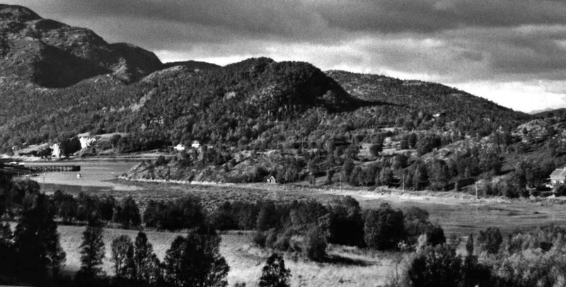 Vargfjorden, Ballangen.