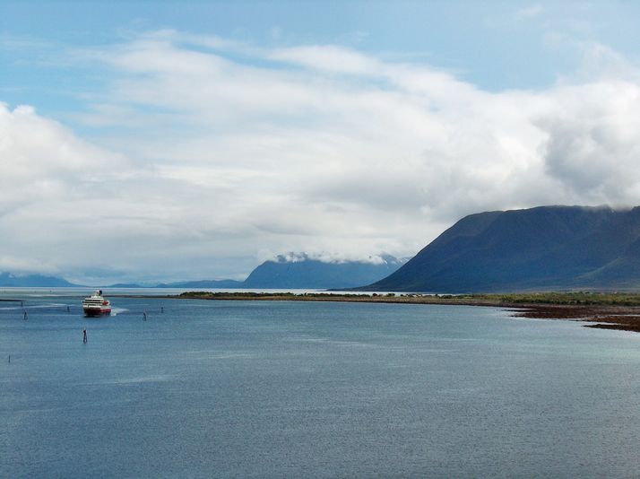 Risøyvikkjet - hurtigruta på sør. Bjørnskinn s.