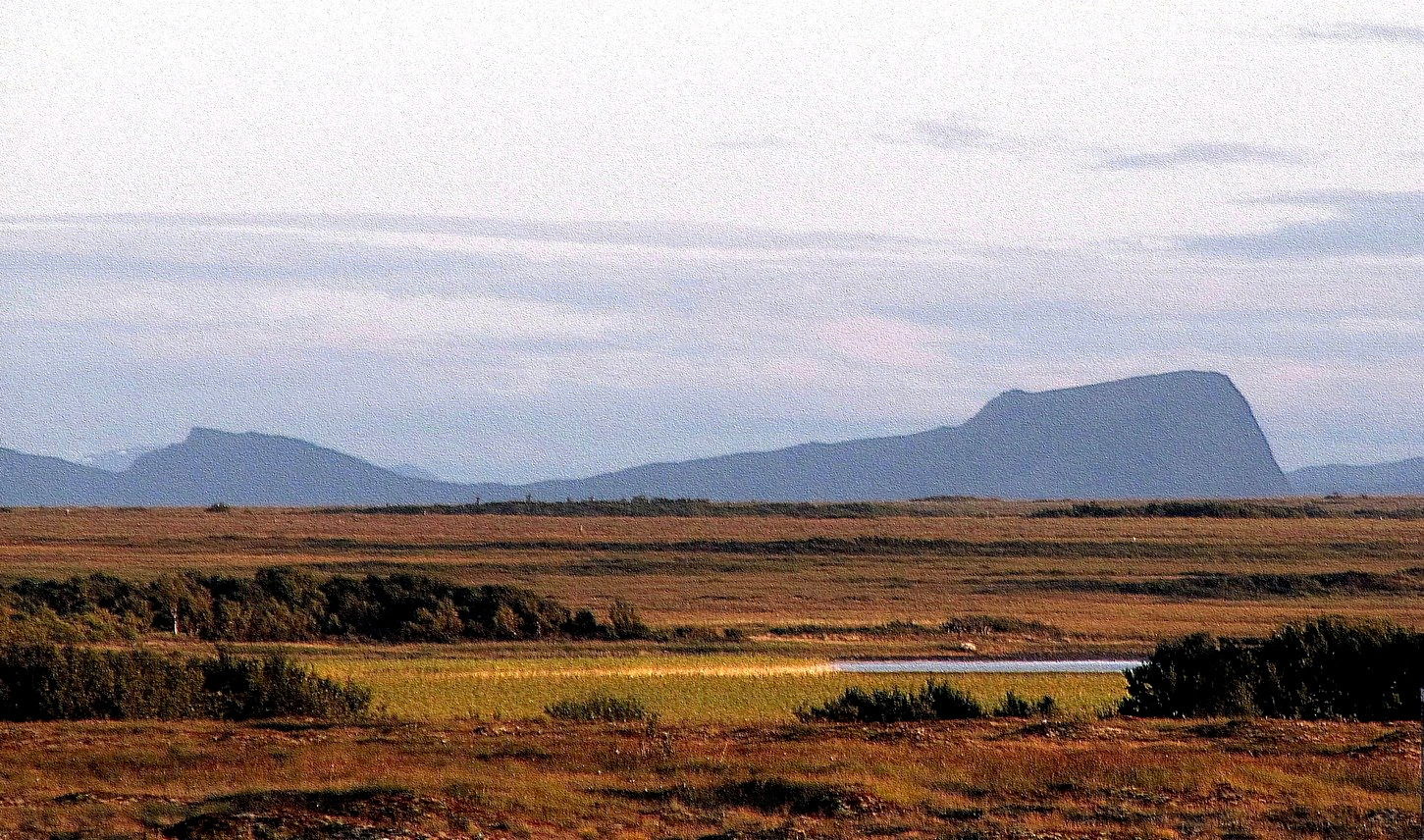 Nordmyra i Dverberg s. med Elgen ved Elgsnes i bakgr.