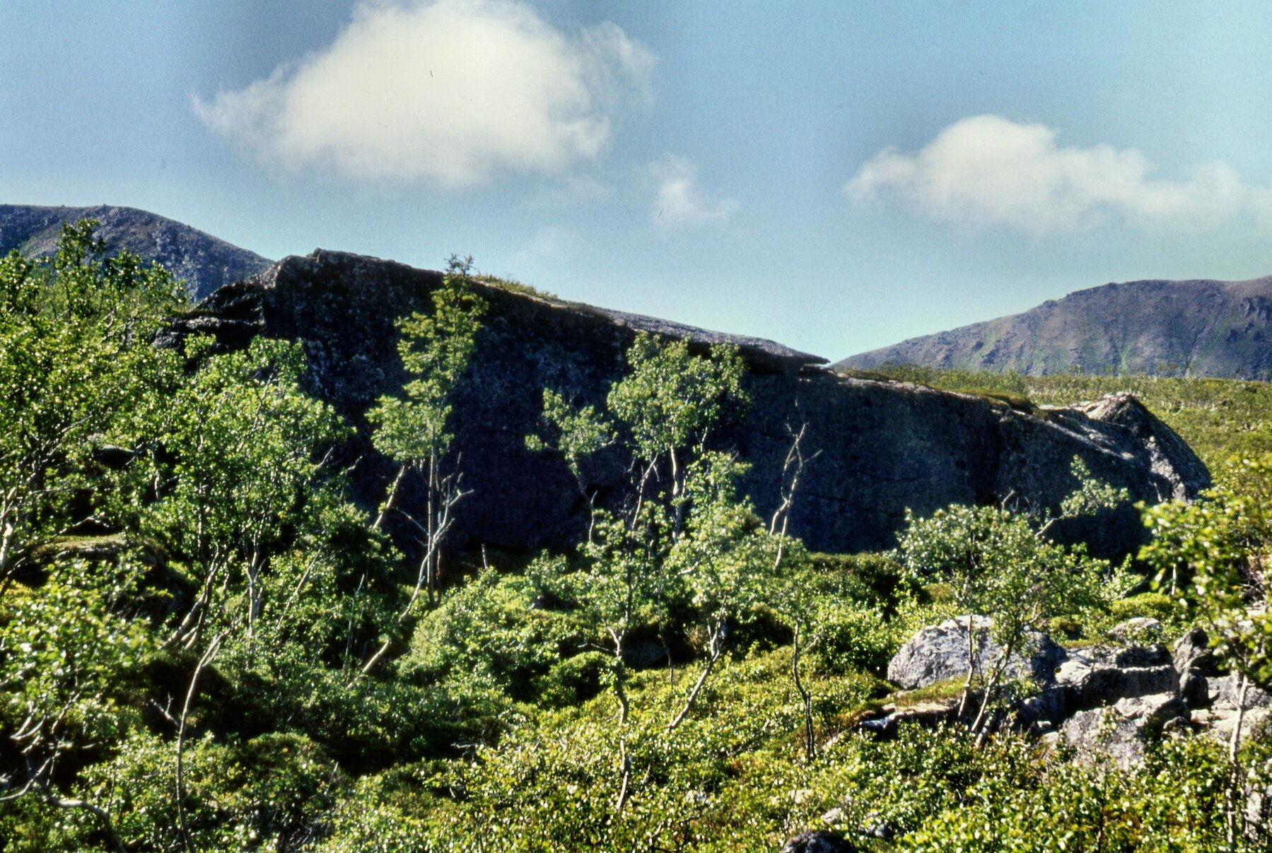 Trollkjerka (Hulderkjerka) i Haugdalen, Sør-Anda. Bjørnskinn s.