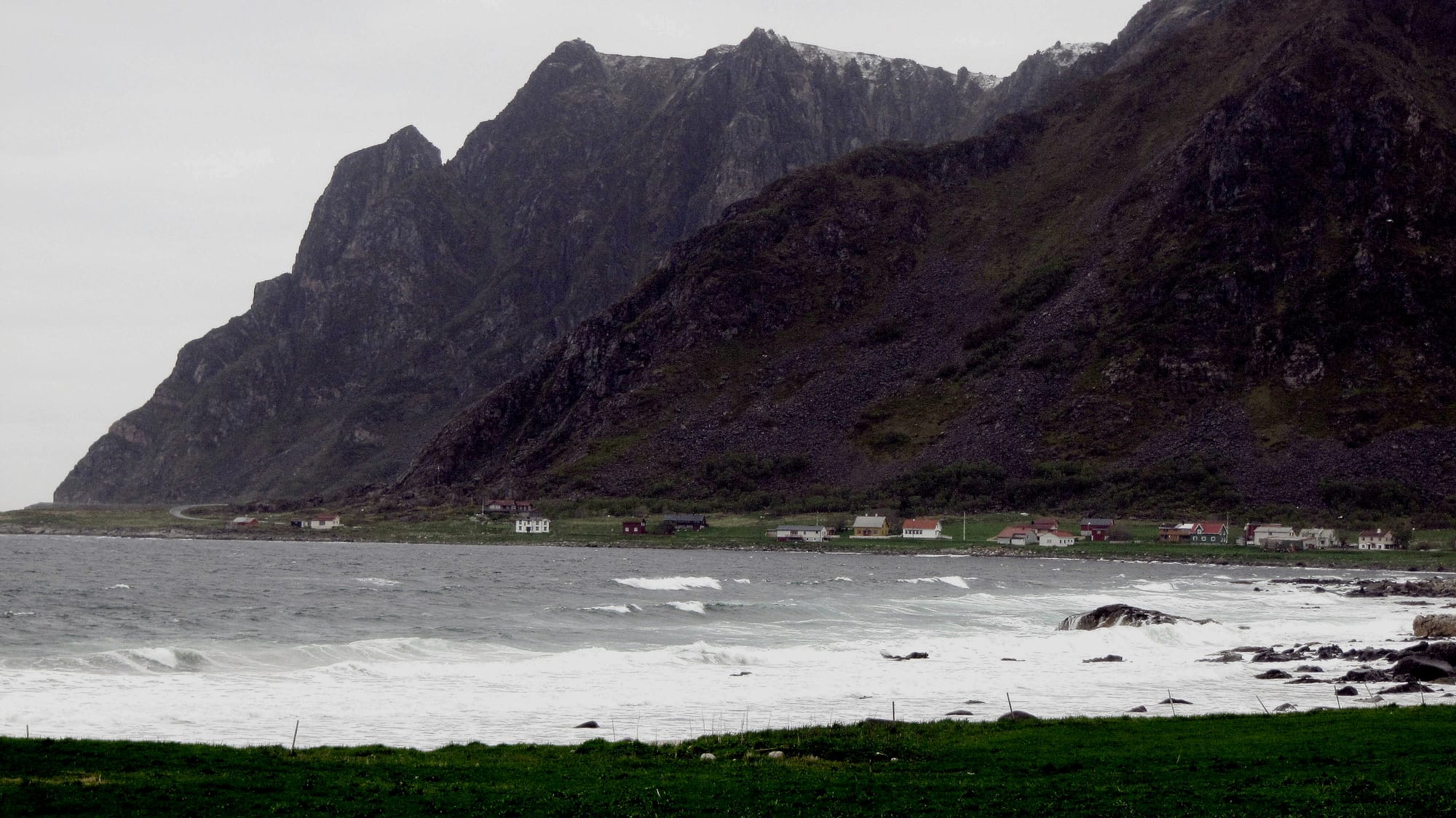 Sjøhusaksla (mørk) på Nøss, Bjørnskinn s.