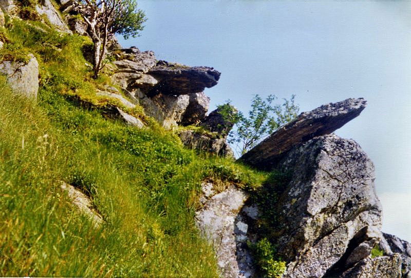 Kabbusa, Nøss i Bjørnskinn s. Foto Inge E. Johansen.