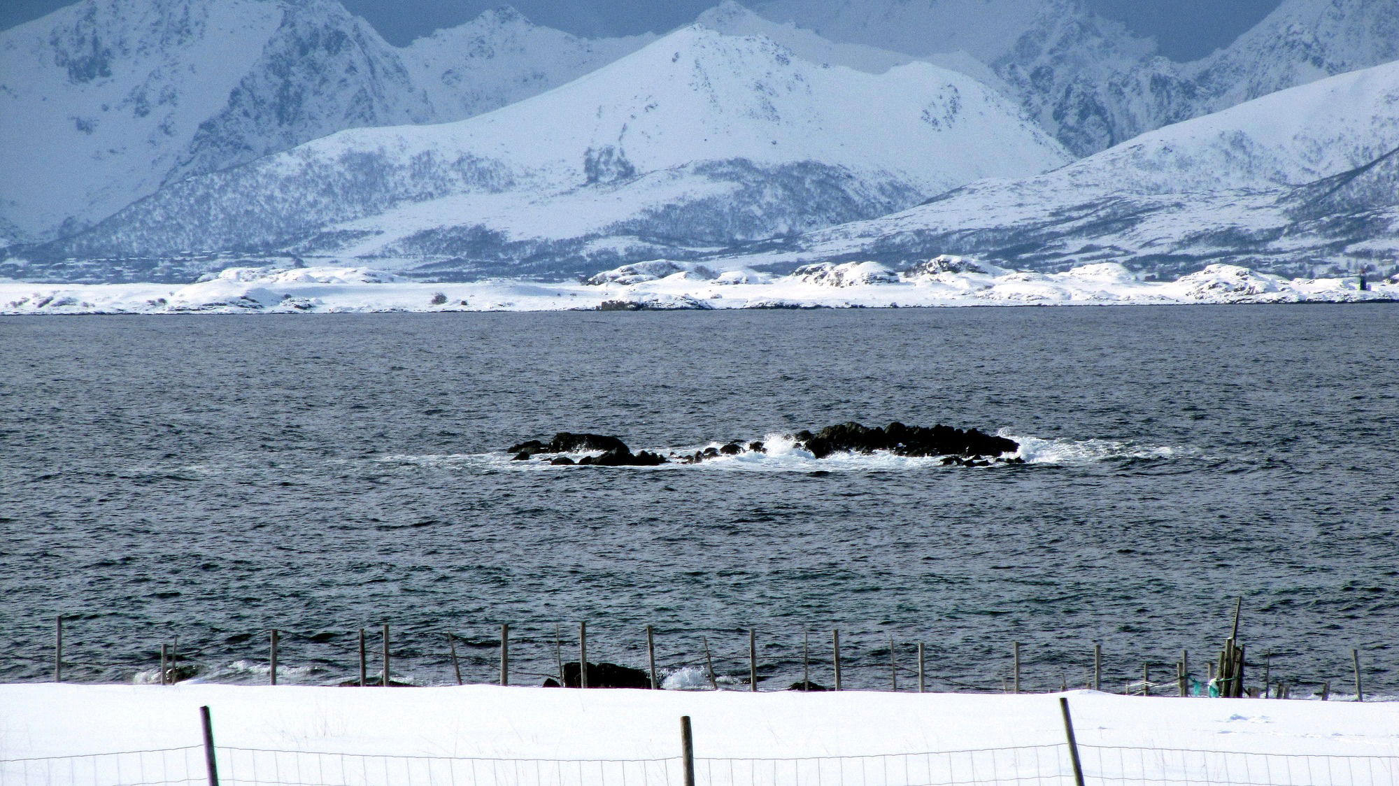 Smørstabben på Åknes. Bjørnskinn s.