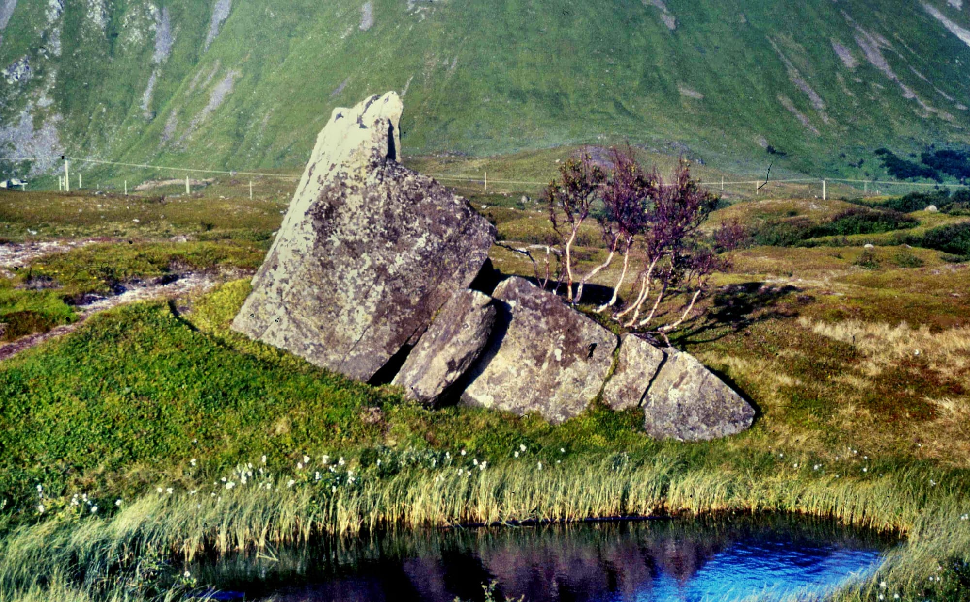 Maristeinen på Bleik. Andenes s.