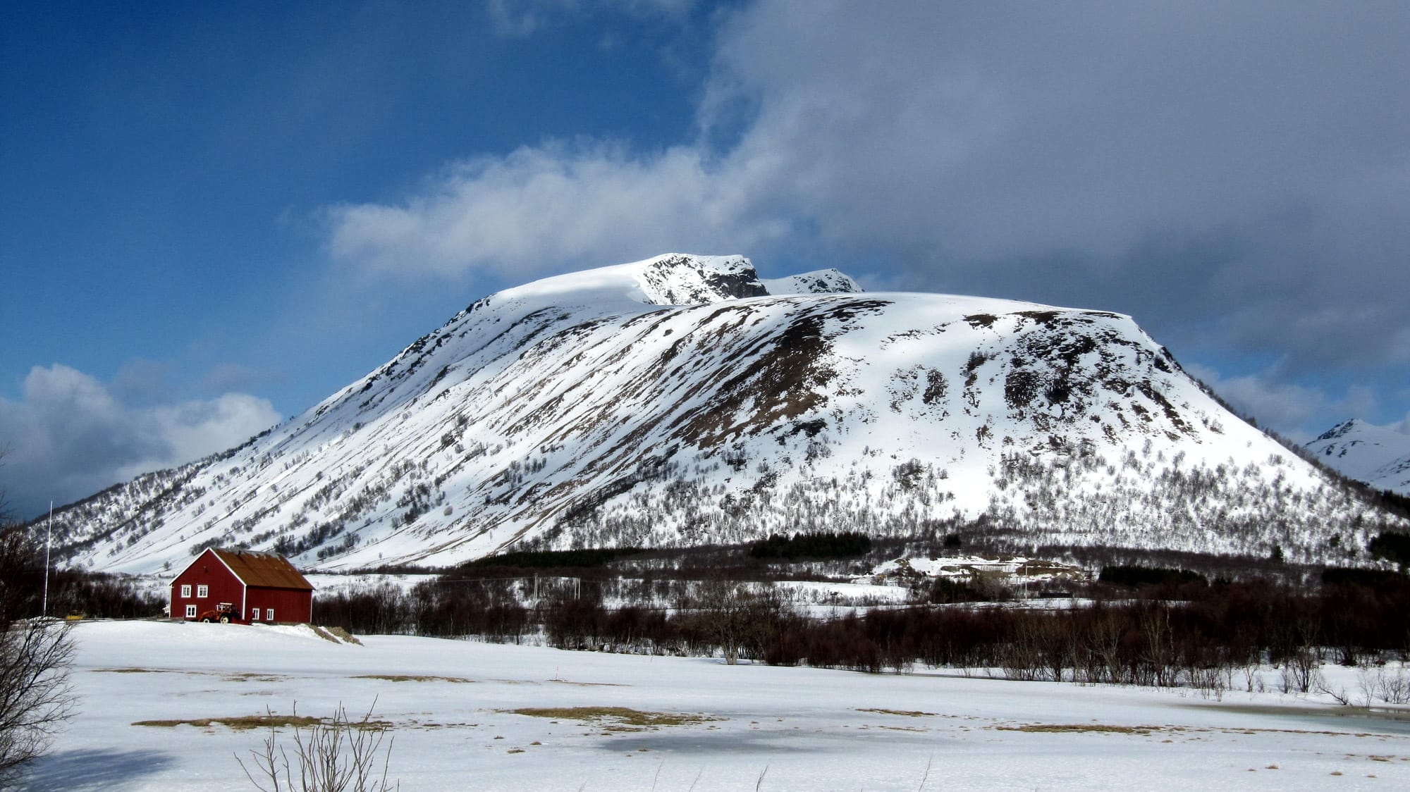 Bjørnskinnfjellet med bjørneskalle ! Bjørnskinn s.