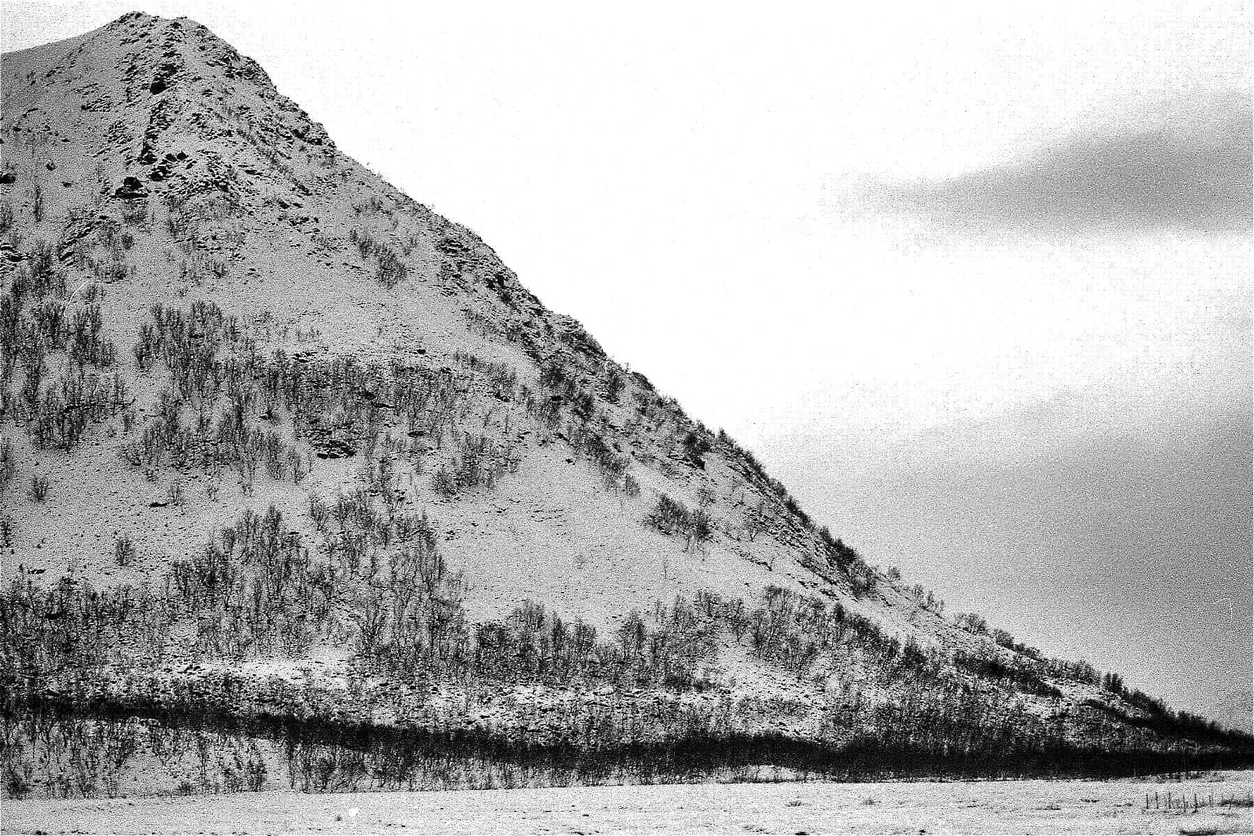 Bukkeskinnet, stor li i Sørgårdsfjellet på Bø. Bjørnskinn s.