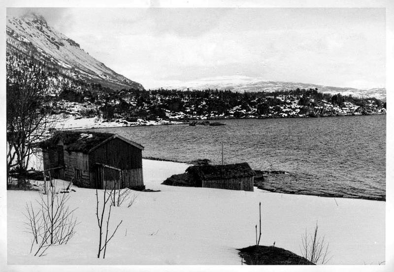 Ora på Orneset, Grøtland i Salangen s. Foto Finn Bjørstad.