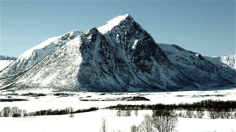 Orkleiva ved Tranesvågen. Bjørnskinn s.