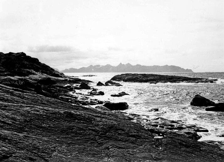 Hellene og Børrholmen, Bjørnskinn s.