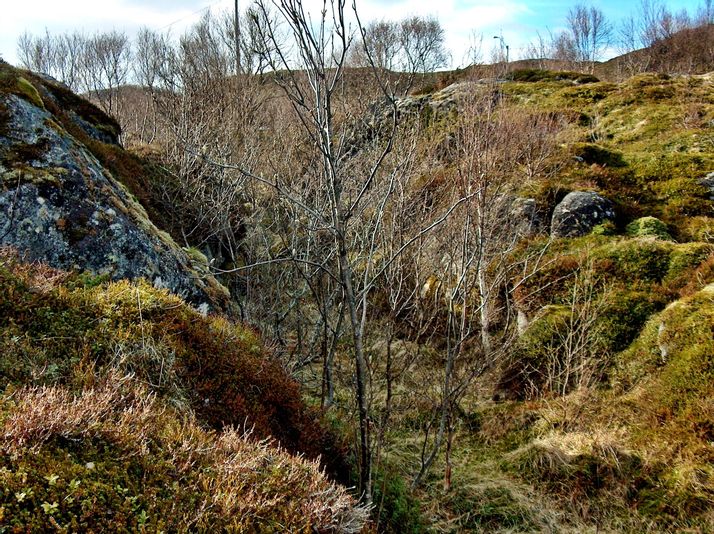 Øksa, kløft ved Mårsund. Eigtl. sam. uksa 'dør(opning)'