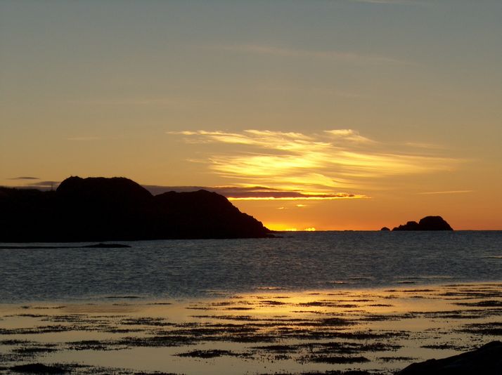 Fjærvollklubben og Lamholmen. Bø s.