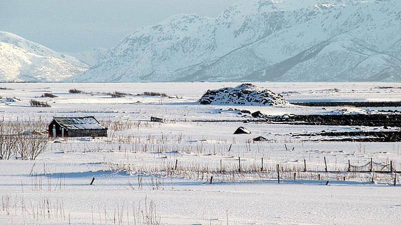 Harhågen på Bø. Bjørnskinn s.