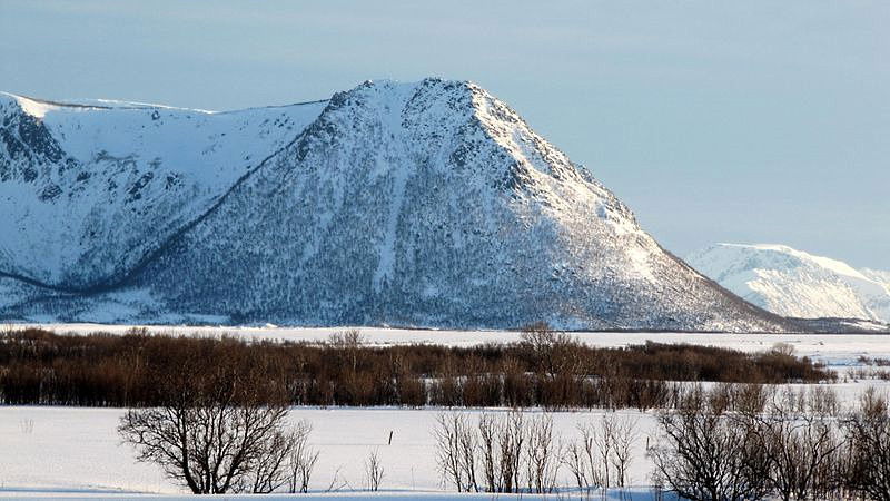 Melakollen på Sørmela, Bjørnskinn s.