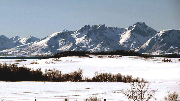 Haghólen sørom Bø, Bjørnskinn s.