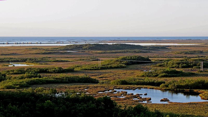 Lauvhólen tett ved Skogvollvatnet, på avstand. Dverberg s.