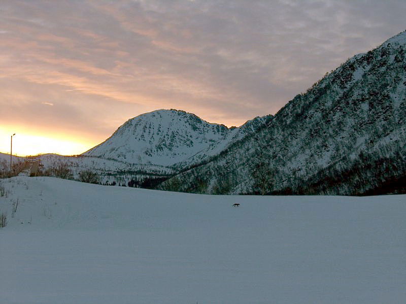 Memålstuva på Bø. Bjørnskinn s.