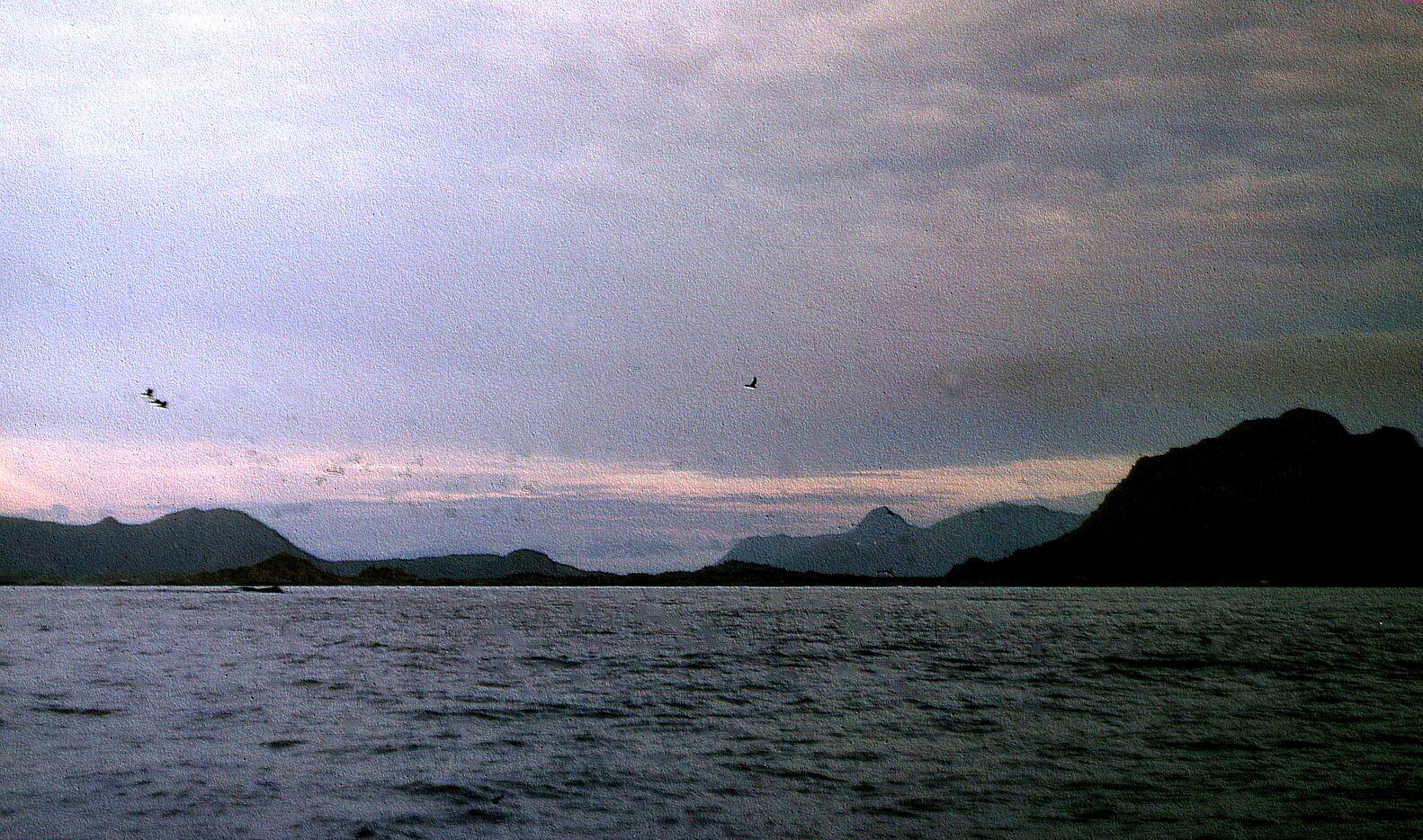 Neset alias Været frå havet. Bø s.