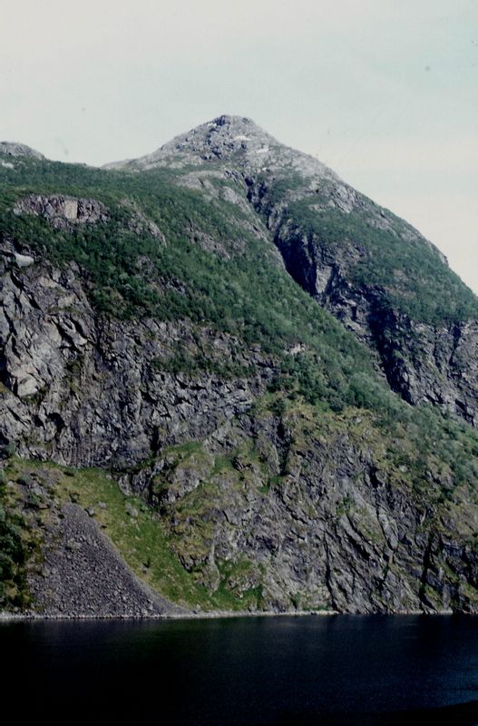 Rokkreva i Djupfjorden. Sortland s.