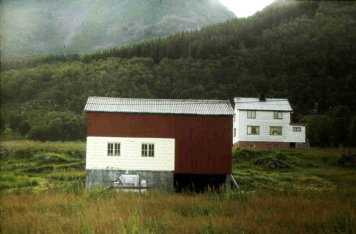 pund Bergan, buplass på Skjolda. Bjørnskinn s.