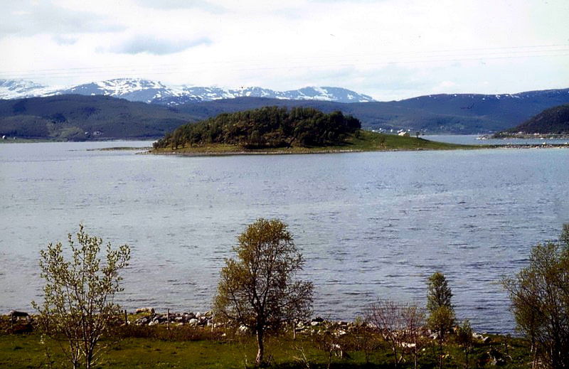 Gausøya ved Gausvika, Trondenes s.