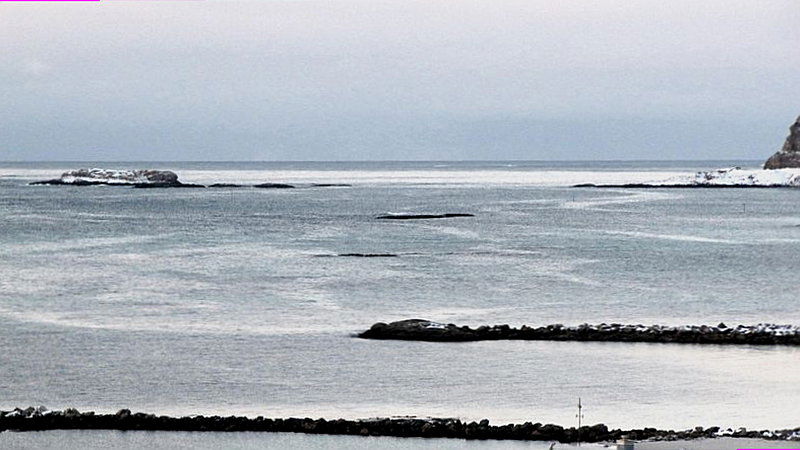 Forøya p Bleik. Andenes s.