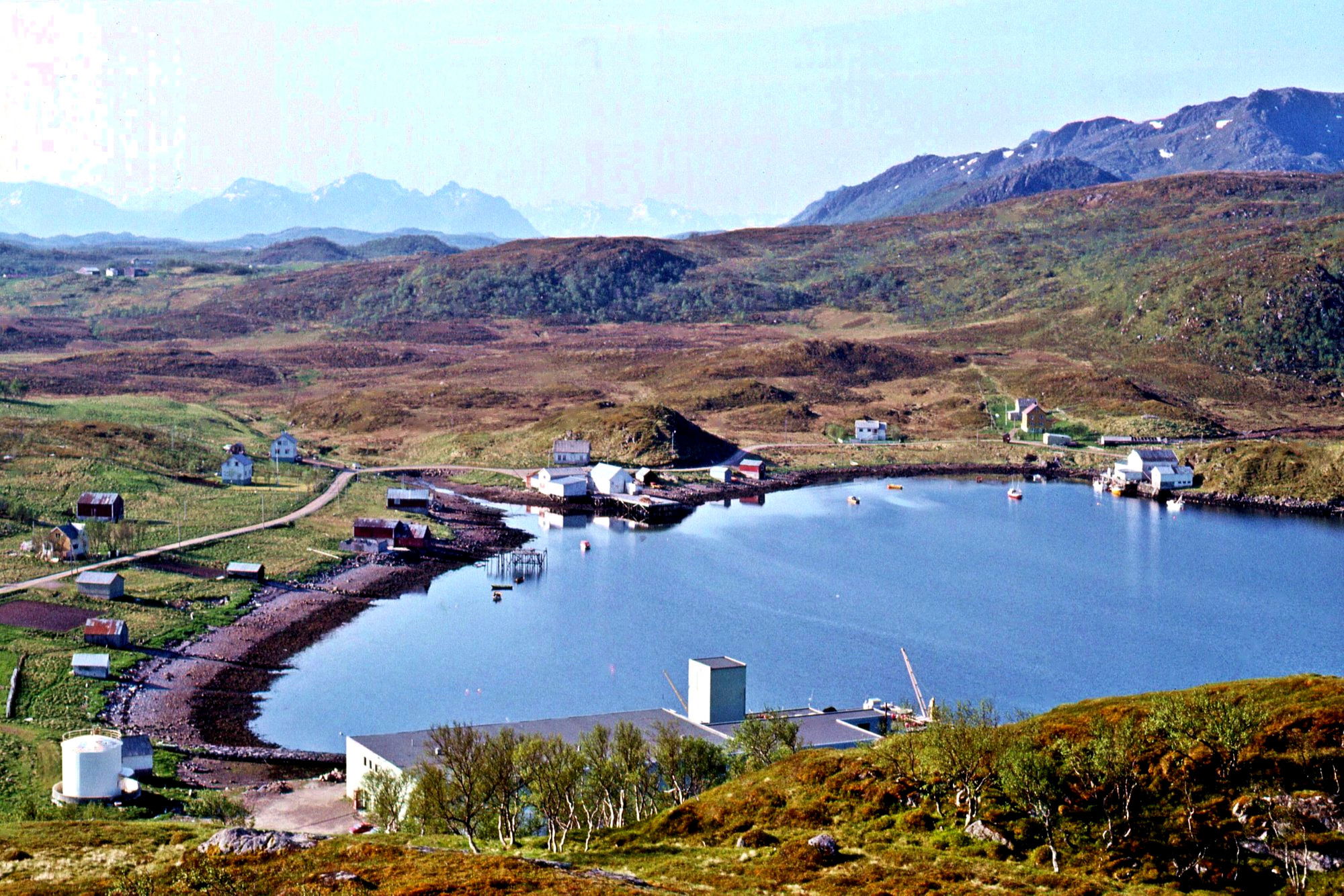 Rissjøen (slett fjære) i Malnes s. 1984.