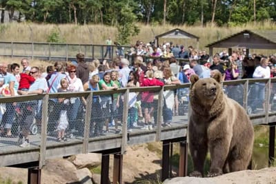 Skandinavisk Dyrepark