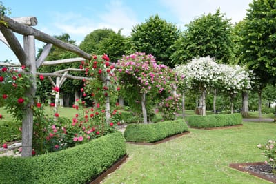 Bangsbo Botaniske Have