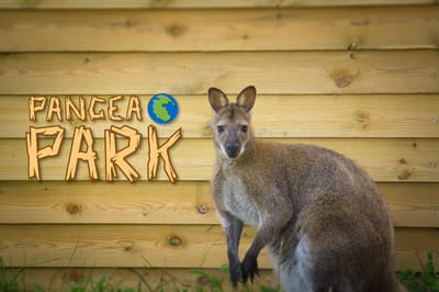 Pangea park