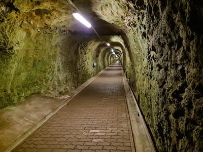 Koldkrigsmuseum Stevnsfort