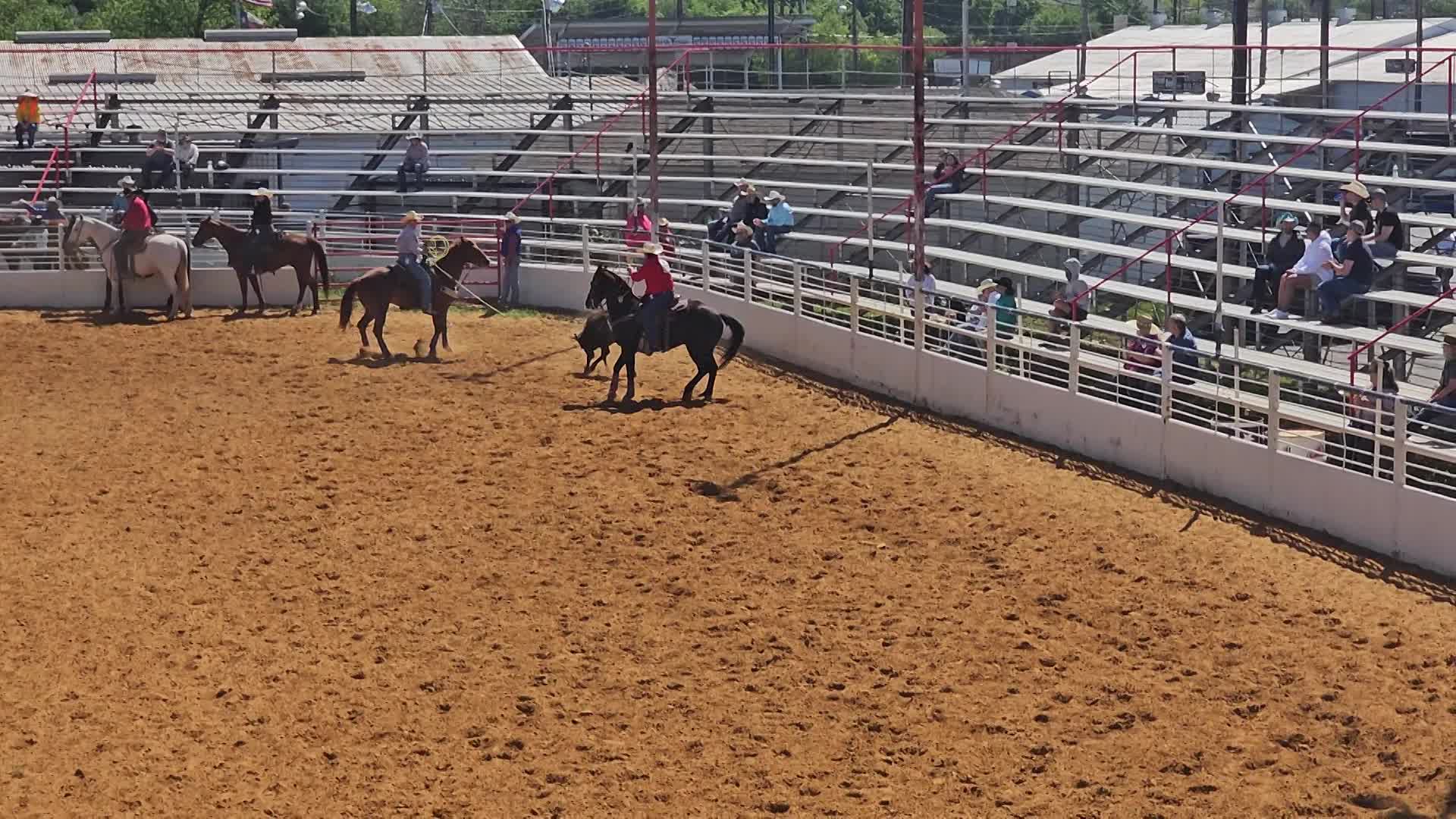 Team Roping