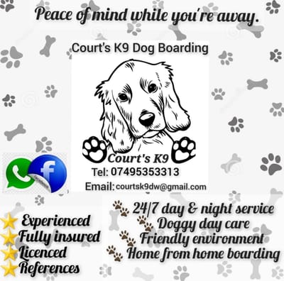 Court’s K9 Dog Boarding & Day Care