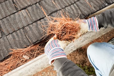 The Very Importance of Seeking Eavestrough Cleaning and Maintenance Services