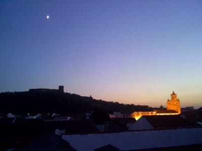 Conoce alanís image