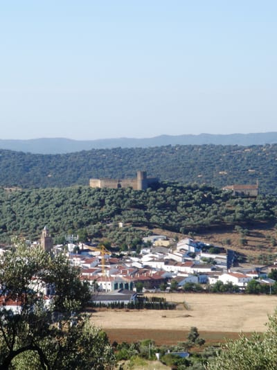 Conoce alanís image