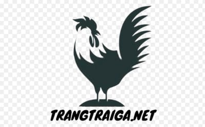 Trang Trại Gà OP image