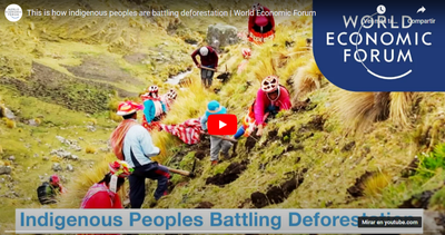 Las Naciones Unidas han reconocido Acción Andina